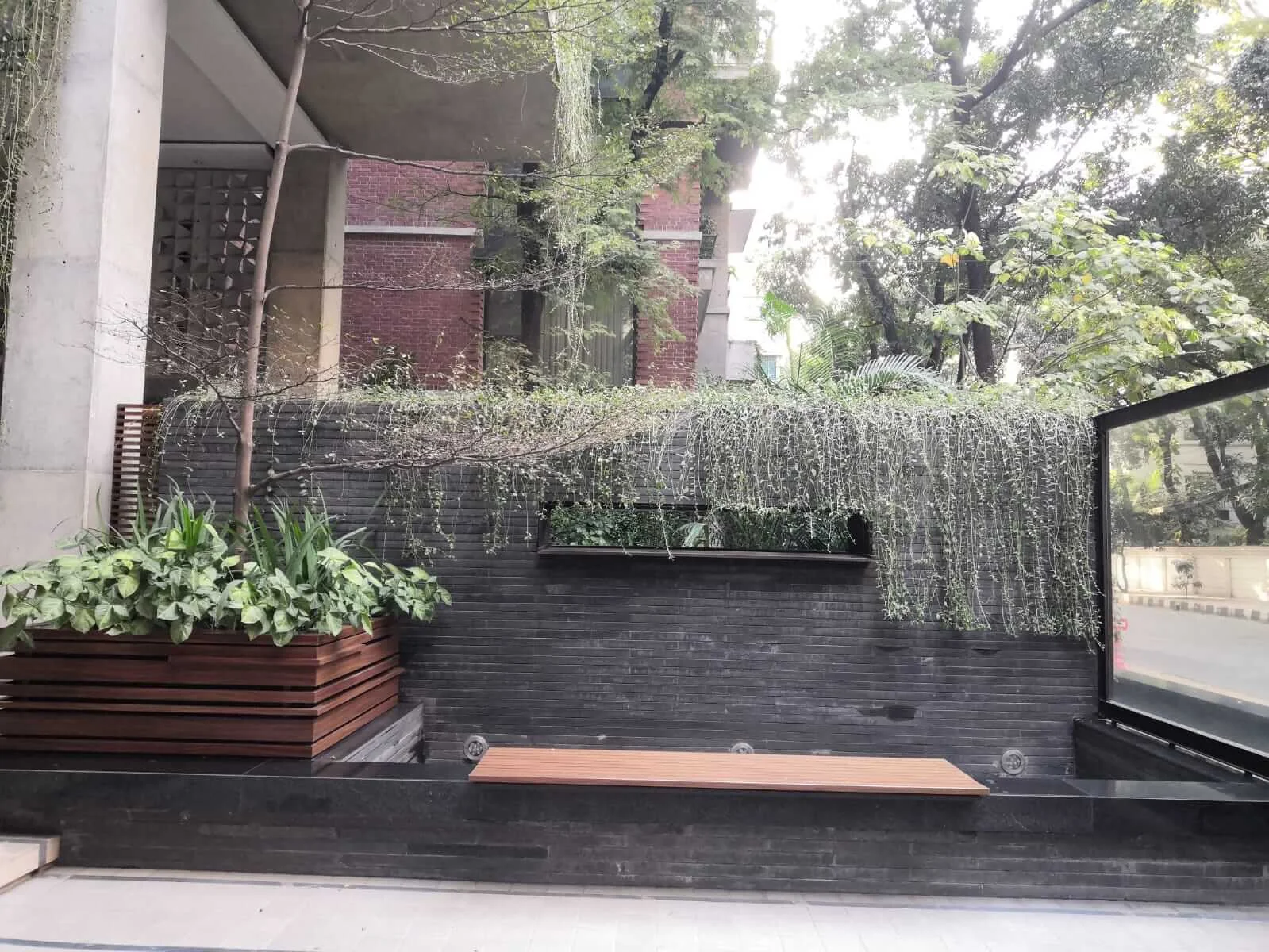 Ventura Wisteria 6A