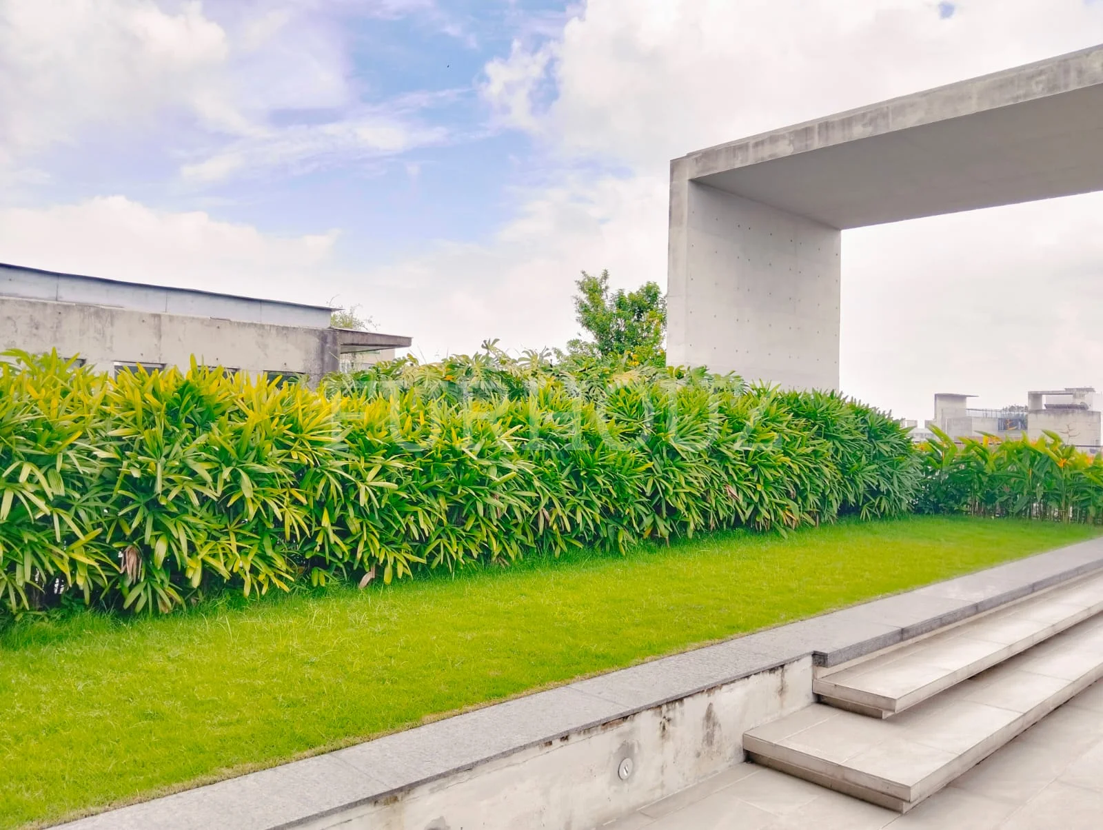 Luxury Apartment rent in Baridhara Diplomatic Zone