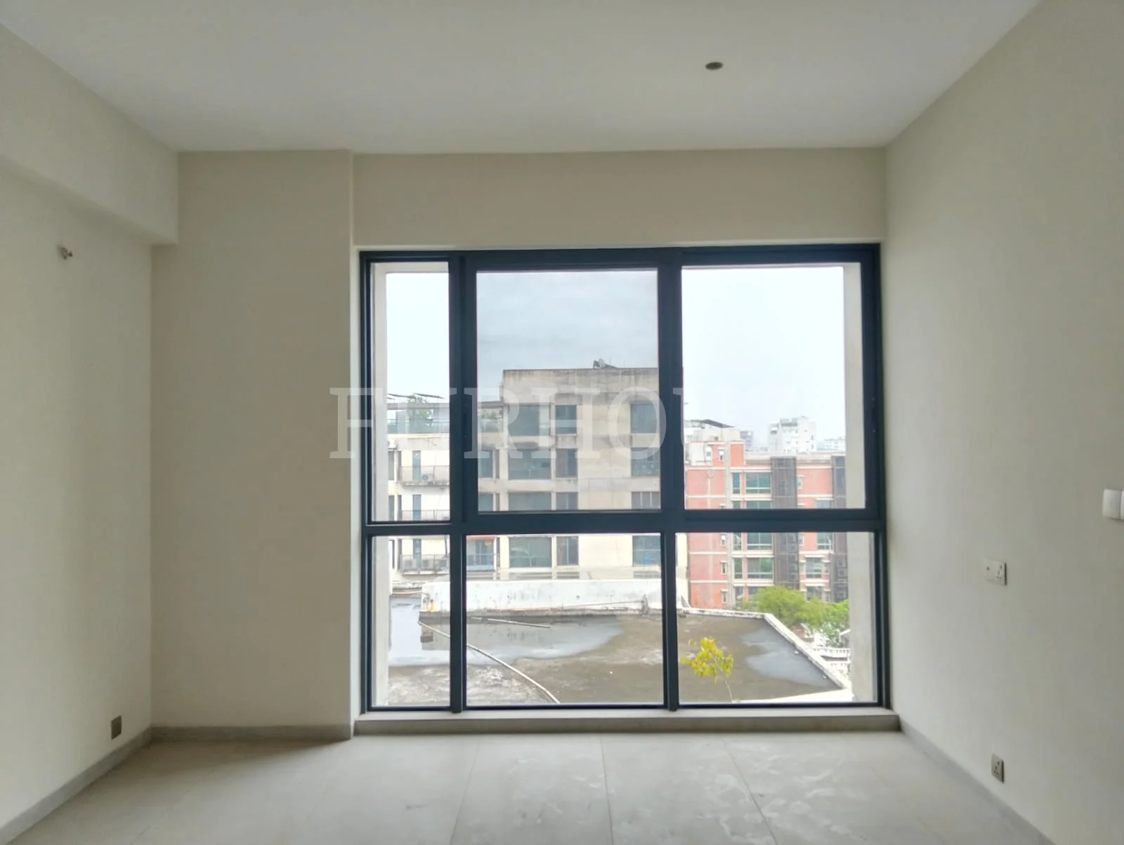 Shanta Affinity 6A