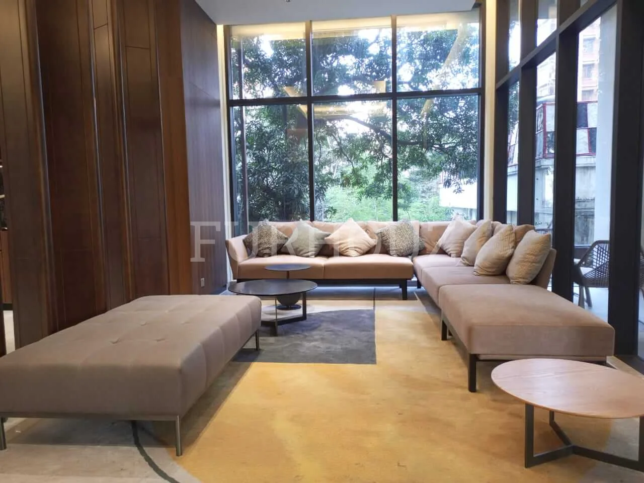 Shanta Splendor 3B