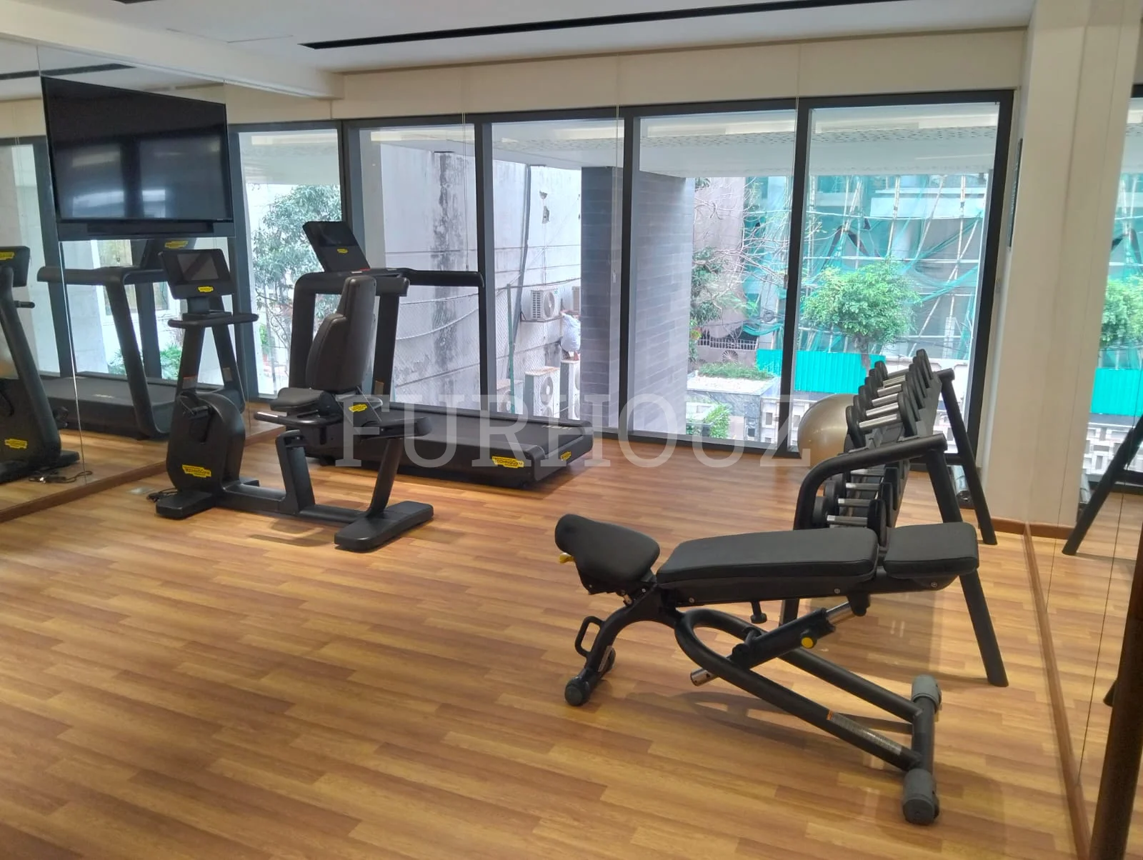 Shanta Affinity 6A