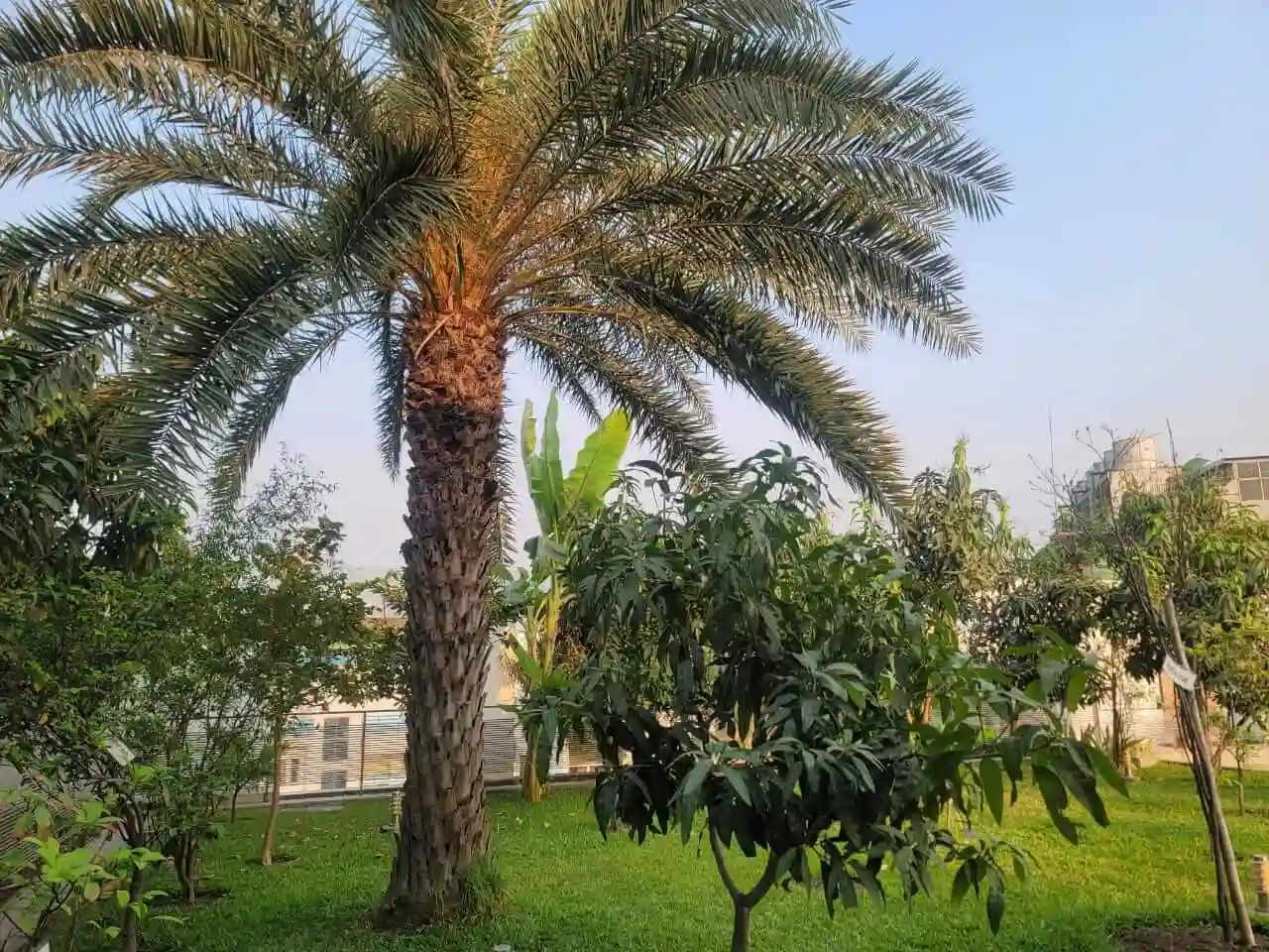 Villa on Hollywood Boulevard